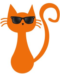 Afbeelding: kat met zonnebril
